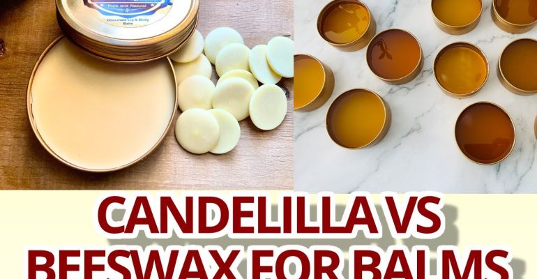 Candelilla-wax-vs-Beeswax-for-Lip-Balms-Results-and-recipe-included